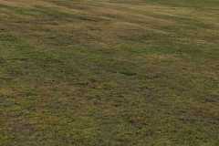 RULLATURA-2